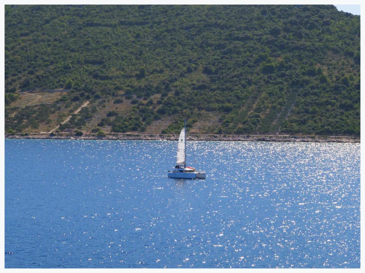 شقة The Peninsula Primošten المظهر الخارجي الصورة