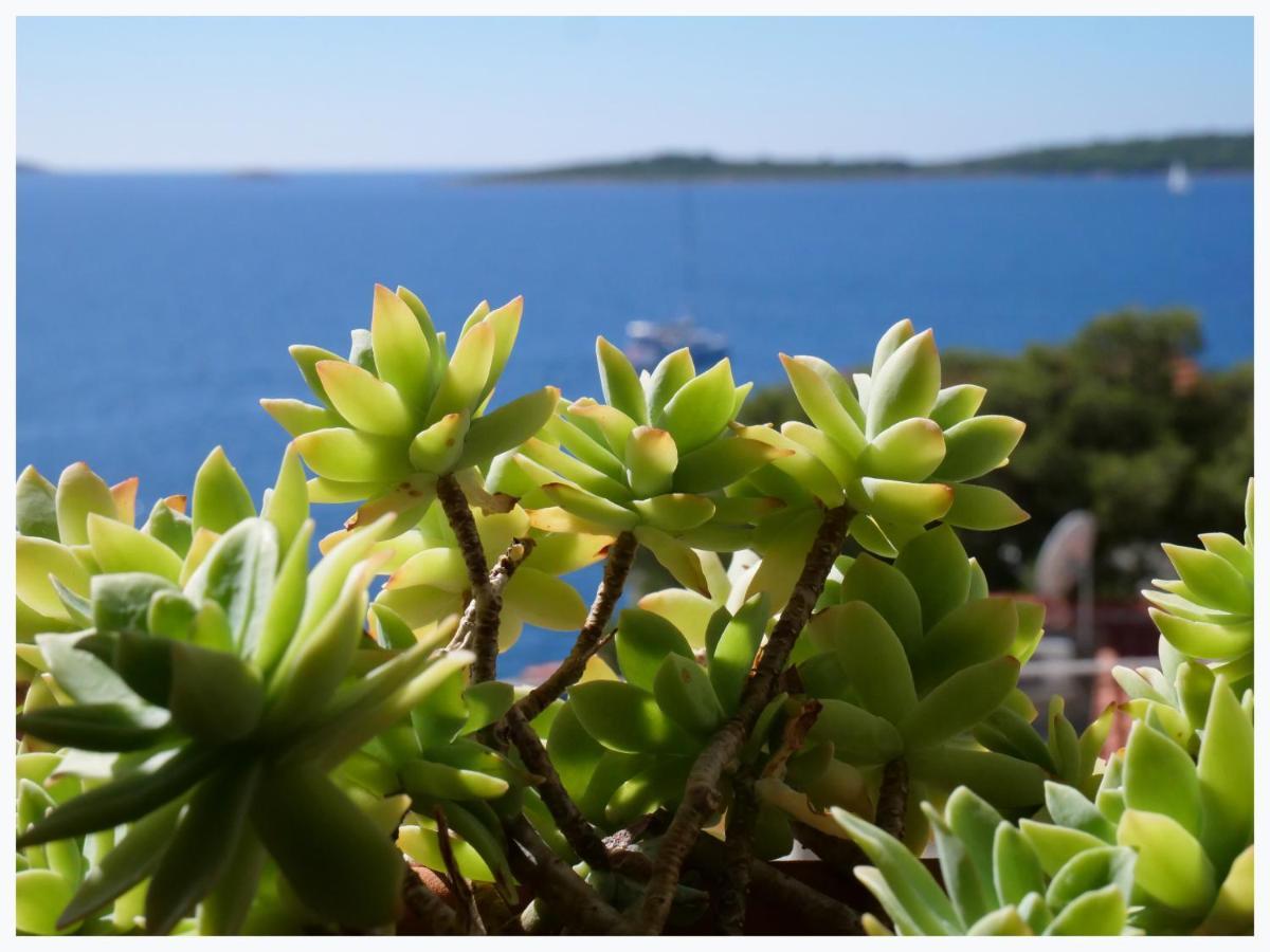 شقة The Peninsula Primošten المظهر الخارجي الصورة